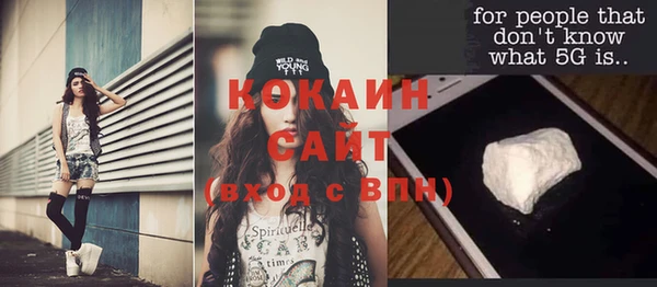 хмурый Белокуриха