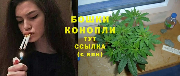 a pvp Дмитров