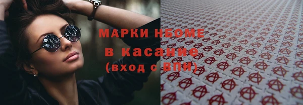 хмурый Белокуриха