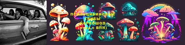 хмурый Белокуриха