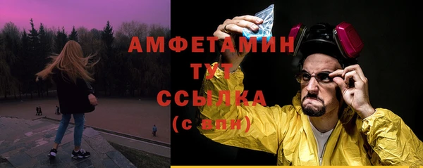 хмурый Белокуриха