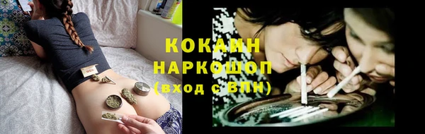 стаф Белоозёрский