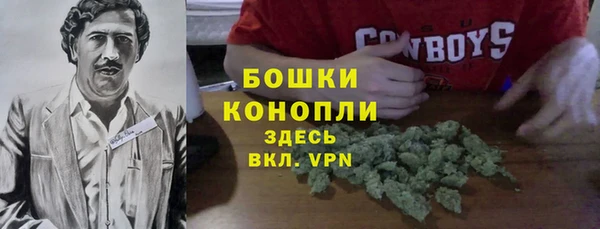 хмурый Белокуриха
