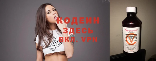 хмурый Белокуриха