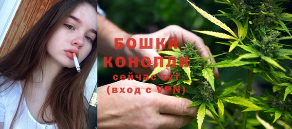 хмурый Белокуриха