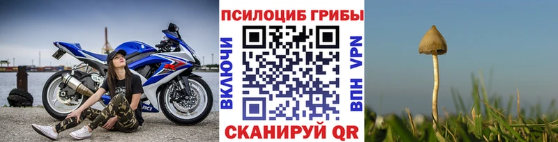 Галлюциногенные грибы прущие грибы Богданович